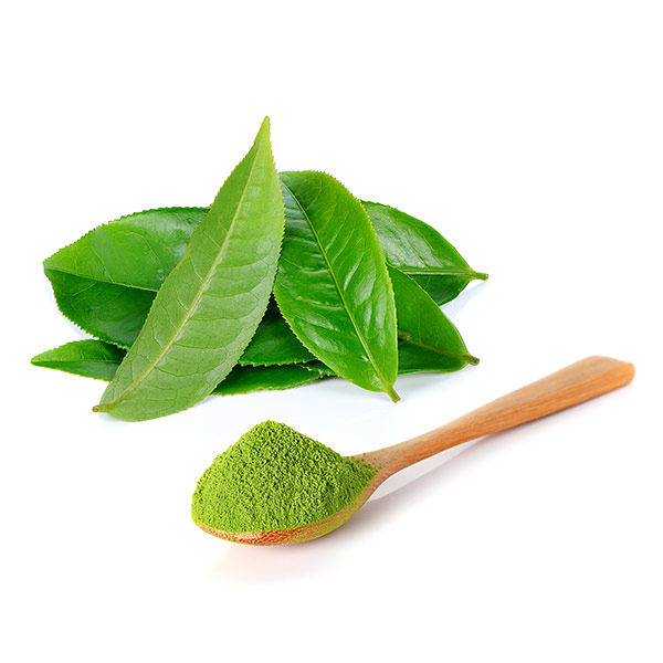 Green Tea Gelato